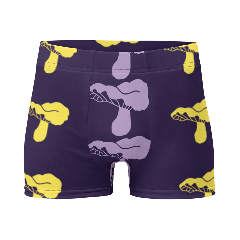 kito's Boxer Briefs