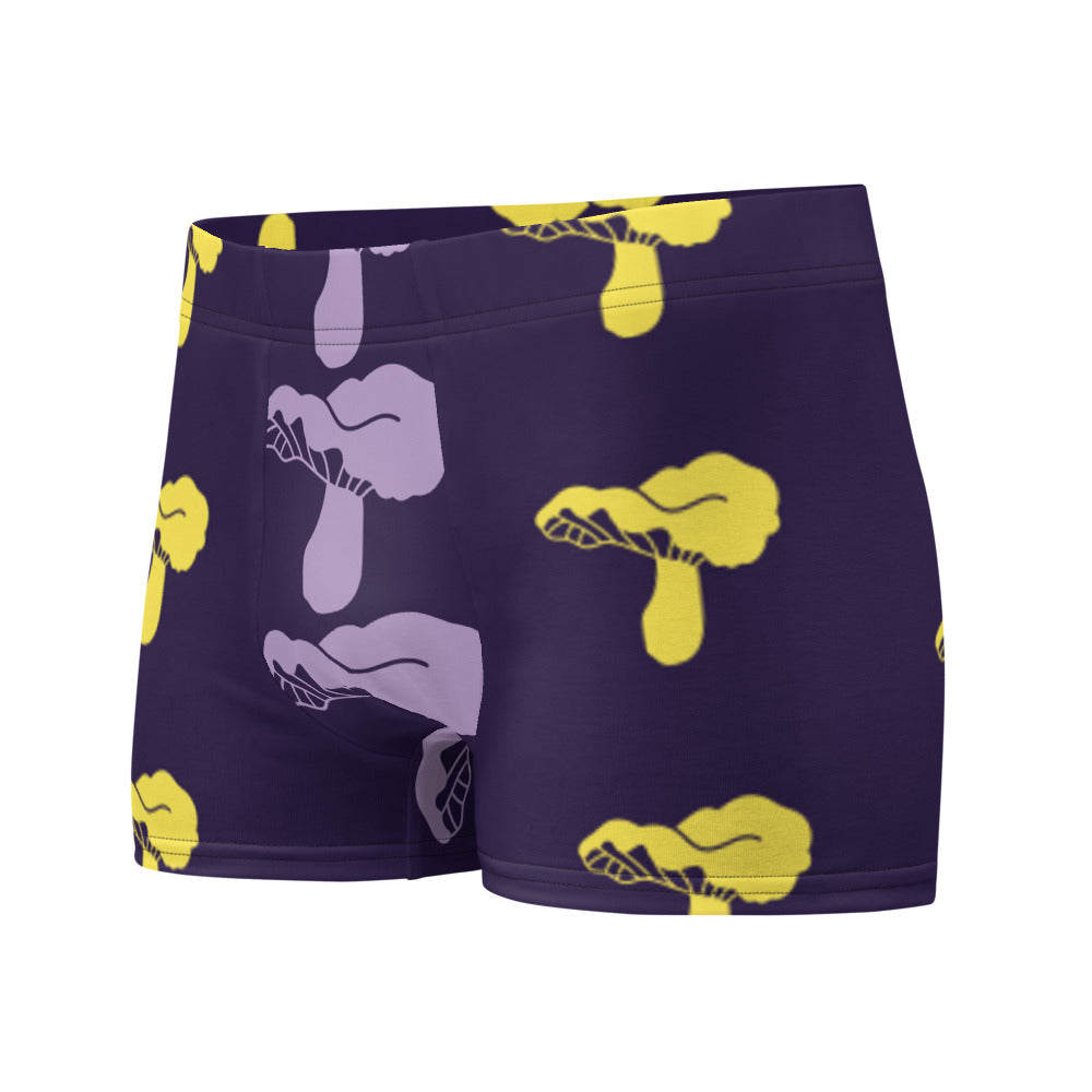 kito's Boxer Briefs